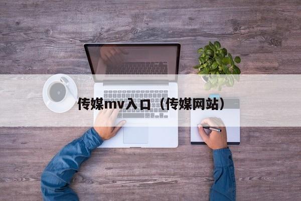 传媒mv入口(传媒网站)