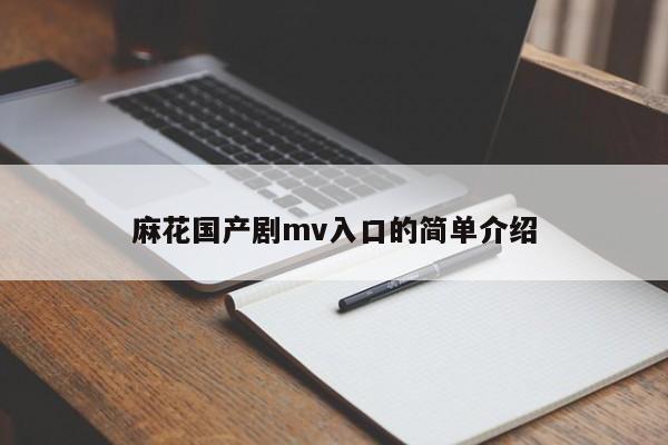 麻花国产剧mv入口的简单介绍