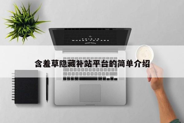 含羞草隐藏补站平台的简单介绍