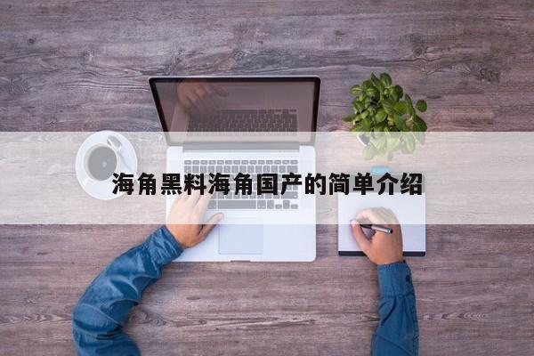 海角黑料海角国产的简单介绍