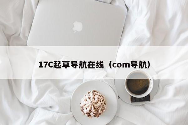 17C起草导航在线(com导航)