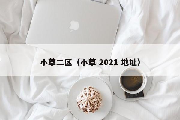 小草二区(小草 2021 地址)